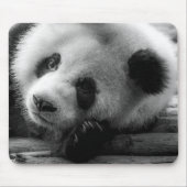 Tapis De Souris Animaux de bébés cutest | Giant Panda Bear Cub (Devant)