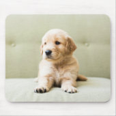 Tapis De Souris Animaux de bébés cutest | Golden Retriever Puppy (Devant)
