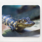 Tapis De Souris Animaux de bébés cutest | Jeune alligator (Devant)