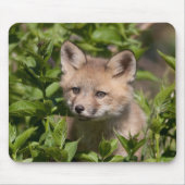 Tapis De Souris Animaux de bébés cutest | Kit Fox (Devant)