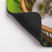 Tapis De Souris Animaux de bébés cutest | Kitten dans le panier (Coin)