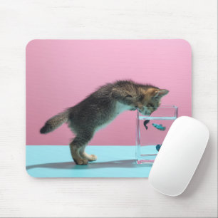 Tapis De Souris Animaux de bébés cutest Kitten En regardant le b