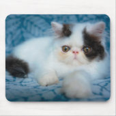 Tapis De Souris Animaux de bébés cutest | Kitten noir et blanc (Devant)