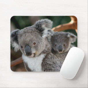 Tapis De Souris Animaux de bébés cutest   Koala et Joey