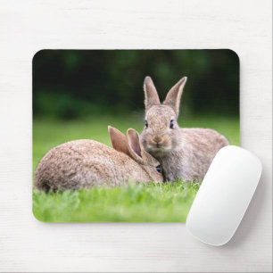 Tapis De Souris Animaux de bébés cutest Lapins de lapin sauvage
