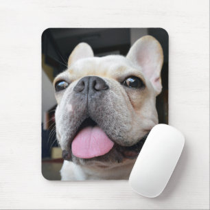 Tapis De Souris Animaux de bébés cutest   Le visage de Bulldog