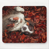 Tapis De Souris Animaux de bébés cutest | L'espagnol dans les feui (Devant)