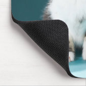 Tapis De Souris Animaux de bébés cutest | Mewing Baby Kitten (Coin)