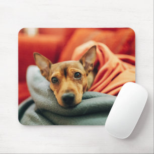 Tapis De Souris Animaux de bébés cutest Miniature Pinscher