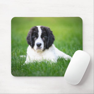 Tapis De Souris Animaux de bébés cutest Newfoundland Puppy