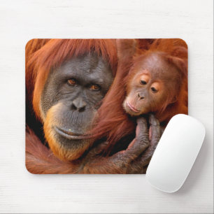 Tapis De Souris Animaux de bébés cutest   Orangutan Maman & Baby