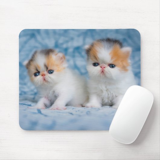Tapis De Souris Animaux de bébés cutest | Persian Calico Kitten (Avec souris)