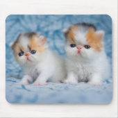 Tapis De Souris Animaux de bébés cutest | Persian Calico Kitten (Devant)