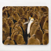 Tapis De Souris Animaux de bébés cutest | Pingouin parmi les jeune (Devant)