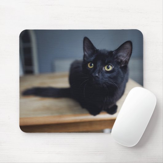 Tapis De Souris Animaux de bébés cutest | Portrait d'un chat noir (Avec souris)