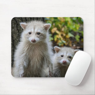 Tapis De Souris Animaux de bébés cutest   Raccoons jeunes blonds
