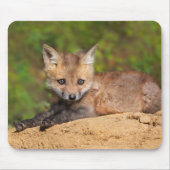 Tapis De Souris Animaux de bébés cutest | Red Fox Pup (Devant)