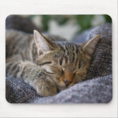 Tapis De Souris Animaux de bébés cutest | Tabby Kitten Sommeil (Devant)