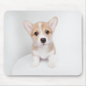 Tapis De Souris Animaux de bébés cutest | Tiny Corgi (Devant)