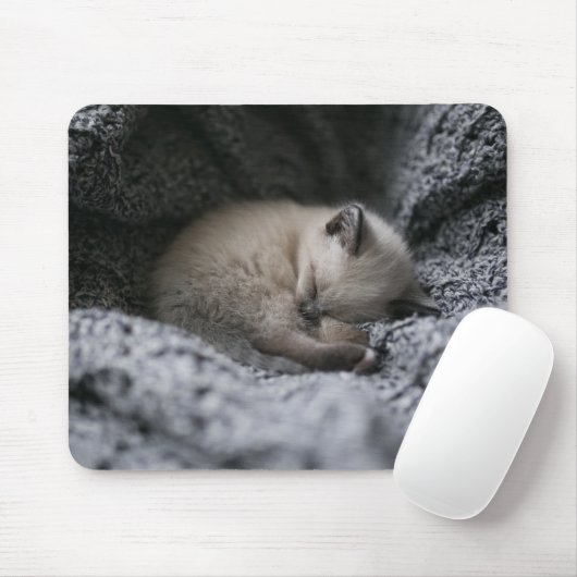 Tapis De Souris Animaux de bébés cutest | Tiny Kitten Dormir (Avec souris)
