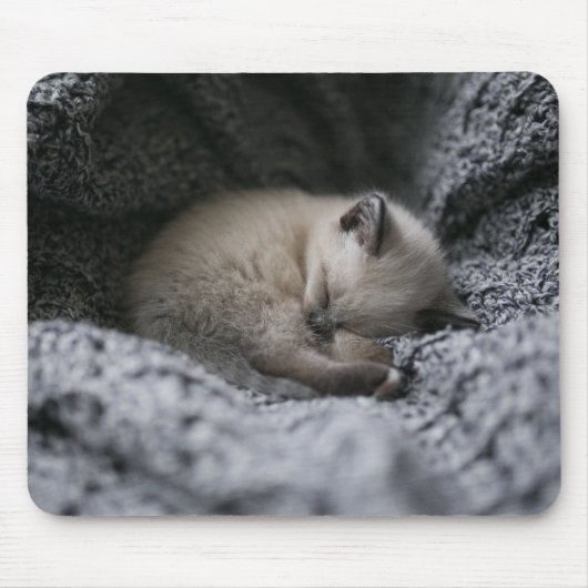 Tapis De Souris Animaux de bébés cutest | Tiny Kitten Dormir (Devant)