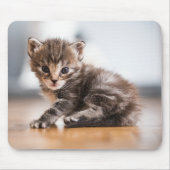 Tapis De Souris Animaux de bébés cutest | Tiny Tabby Kitten (Devant)