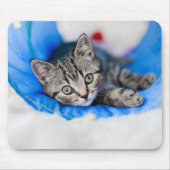Tapis De Souris Animaux de bébés cutest | Tunnel Tabby Kitten en J (Devant)