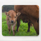 Tapis De Souris Animaux de bébés cutest | Vache et veau (Devant)