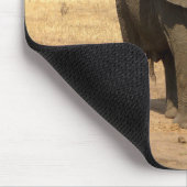 Tapis De Souris animaux, éléphants, nature (Coin)