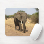 Tapis De Souris animaux, éléphants, nature (Avec souris)