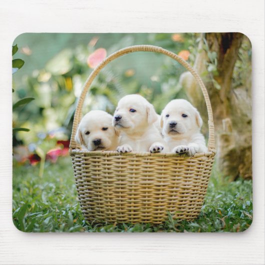 Tapis De Souris animaux, nature, chiot (Devant)