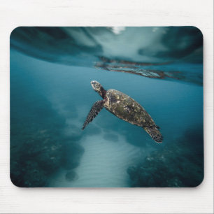 Tapis De Souris Animaux, tortues, eau
