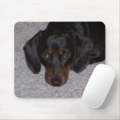Tapis De Souris annab (Avec souris)