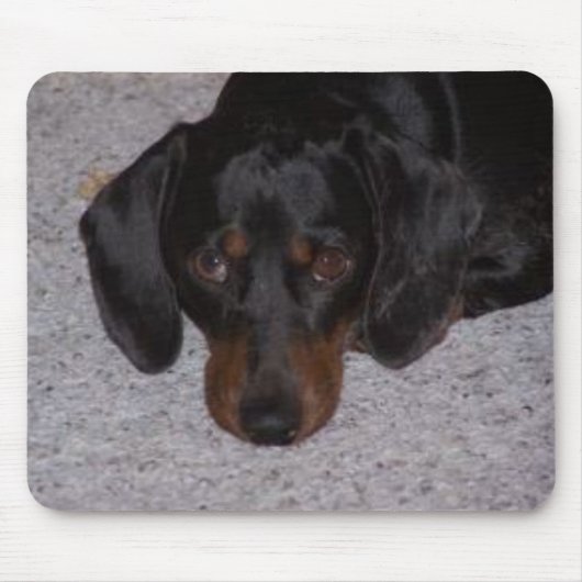 Tapis De Souris annab (Devant)