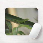 Tapis De Souris Anole Lizard (Avec souris)
