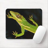 Tapis De Souris Anole vert (Avec souris)