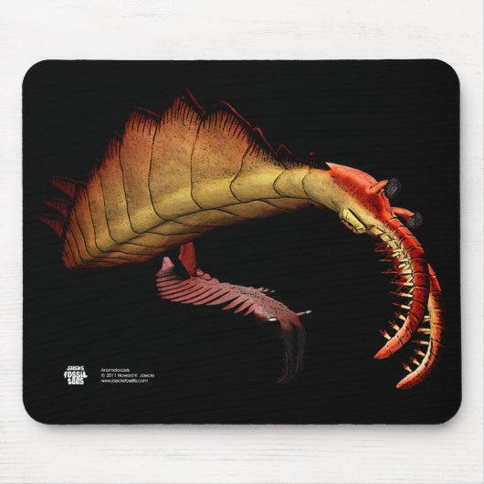 Tapis De Souris Anomalocaris Mousepad (Devant)