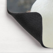 Tapis De Souris Antarctique (Coin)