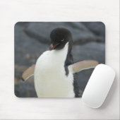 Tapis De Souris Antarctique (Avec souris)