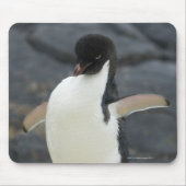 Tapis De Souris Antarctique (Devant)