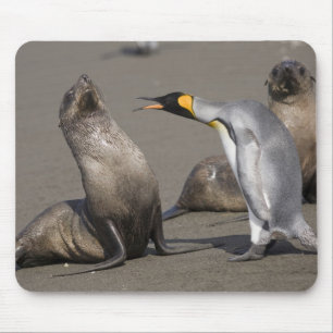 Tapis De Souris Antarctique, île de Géorgie du Sud (Royaume-Uni), 
