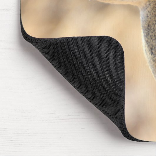 Tapis De Souris Antélope de Klipspringer (Coin)