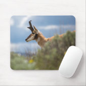 Tapis De Souris Antelope de Prong Horn (Avec souris)