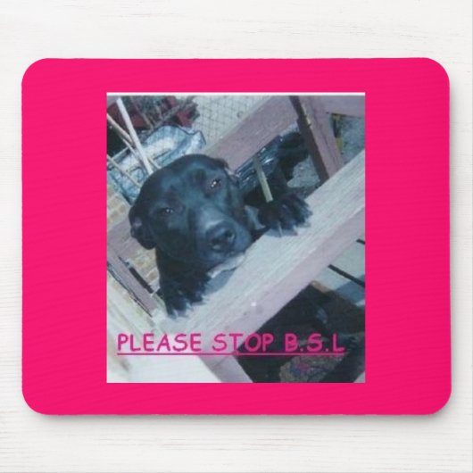 TAPIS DE SOURIS ANTI BSL (Devant)