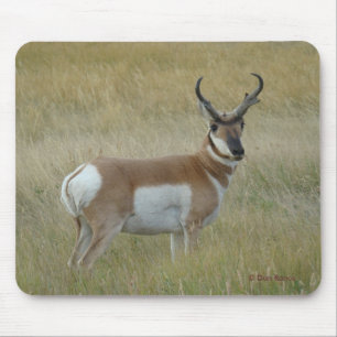 Tapis De Souris Antilope d'Amérique A1 Grand Buck