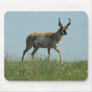 Tapis De Souris Antilope et fleurs sauvages d'A10 Pronghorn