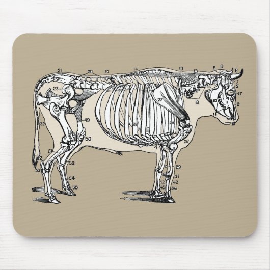 Tapis De Souris Antique Cow Skeleton Bones (Devant)