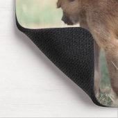 Tapis De Souris Anubis Baboon (Coin)