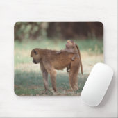 Tapis De Souris Anubis Baboon (Avec souris)