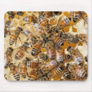 Tapis De Souris Apiculture à Arlo's Honey Farm